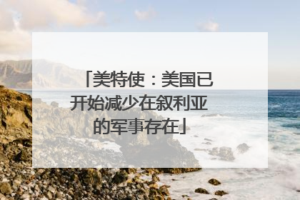 美特使：美国已开始减少在叙利亚的军事存在