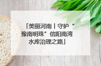 美丽河南丨守护“豫南明珠”信阳南湾水库治理之路