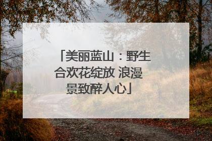 美丽蓝山：野生合欢花绽放 浪漫景致醉人心