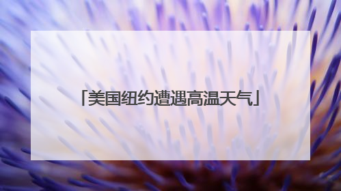 美国纽约遭遇高温天气