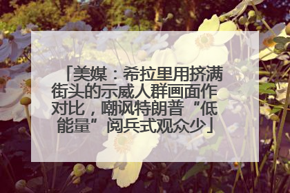 美媒：希拉里用挤满街头的示威人群画面作对比，嘲讽特朗普“低能量”阅兵式观众少