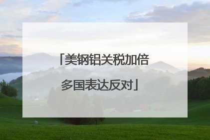 美钢铝关税加倍 多国表达反对