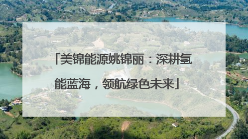 美锦能源姚锦丽：深耕氢能蓝海，领航绿色未来