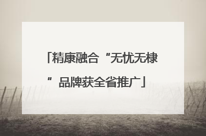 精康融合“无忧无棣”品牌获全省推广