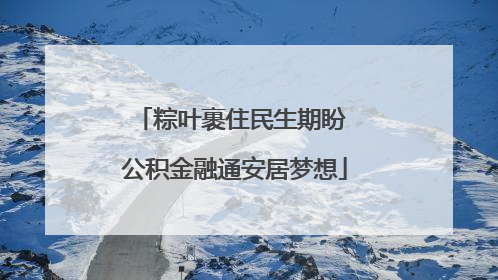 粽叶裹住民生期盼 公积金融通安居梦想