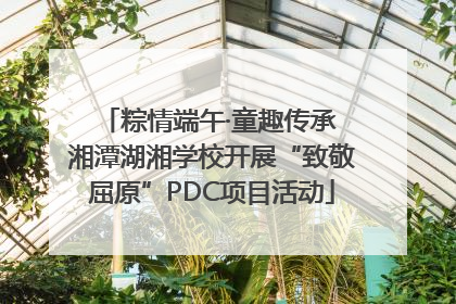 粽情端午·童趣传承 湘潭湖湘学校开展“致敬屈原”PDC项目活动