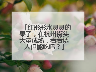 红彤彤水灵灵的果子，在杭州街头大量成熟，看着诱人但能吃吗？