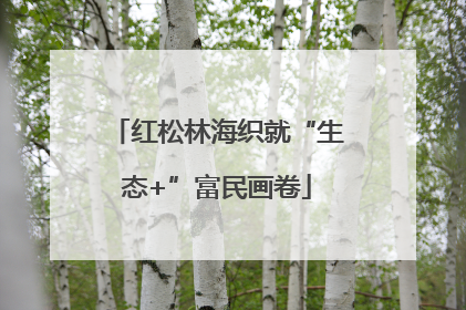 红松林海织就“生态+”富民画卷