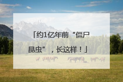 约1亿年前“僵尸昆虫”，长这样！