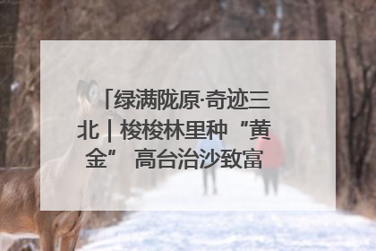 绿满陇原·奇迹三北｜梭梭林里种“黄金” 高台治沙致富很“从容”