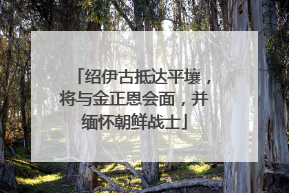 绍伊古抵达平壤，将与金正恩会面，并缅怀朝鲜战士