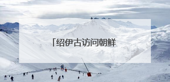 绍伊古访问朝鲜 将与金正恩会面