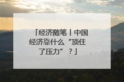 经济随笔丨中国经济靠什么“顶住了压力”？