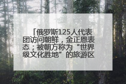 俄罗斯125人代表团访问朝鲜，金正恩表态；被朝方称为“世界级文化胜地”的旅游区，将首次接待俄游客