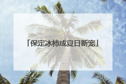 保定冰柿成夏日新宠