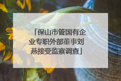 保山市管国有企业专职外部董事刘燕接受监察调查