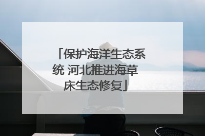 保护海洋生态系统 河北推进海草床生态修复