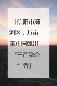 信阳市浉河区：万亩茶庄园飘出“三产融合”香