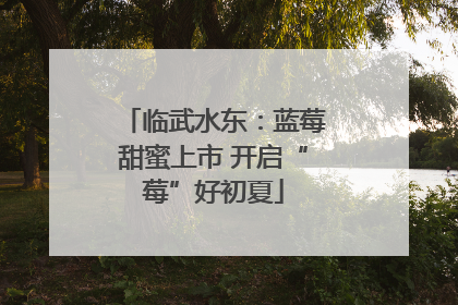 临武水东：蓝莓甜蜜上市 开启“莓”好初夏