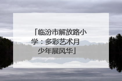 临汾市解放路小学：多彩艺术月 少年展风华