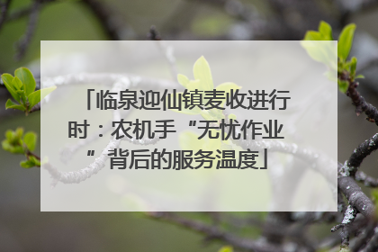 临泉迎仙镇麦收进行时：农机手“无忧作业”背后的服务温度