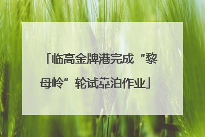 临高金牌港完成“黎母岭”轮试靠泊作业