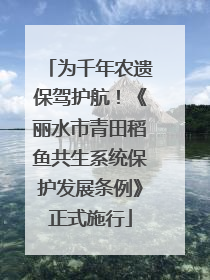 为千年农遗保驾护航！《丽水市青田稻鱼共生系统保护发展条例》正式施行
