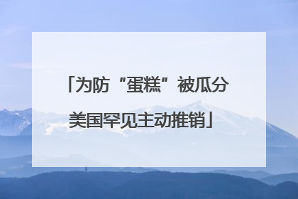 为防“蛋糕”被瓜分 美国罕见主动推销