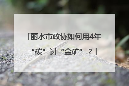 丽水市政协如何用4年“碳”讨“金矿”？