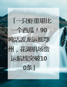 一只虾重堪比一个西瓜！90吨活波龙运抵鄂州，花湖机场货运航线突破100条