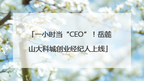 一小时当“CEO”！岳麓山大科城创业经纪人上线