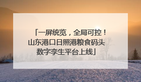 一屏统览，全局可控！山东港口日照港粮食码头数字孪生平台上线