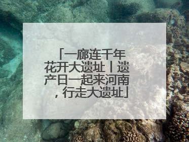 一廊连千年 花开大遗址丨遗产日一起来河南，行走大遗址