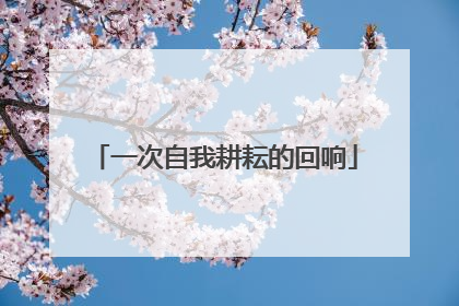 一次自我耕耘的回响