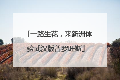 一路生花，来新洲体验武汉版普罗旺斯