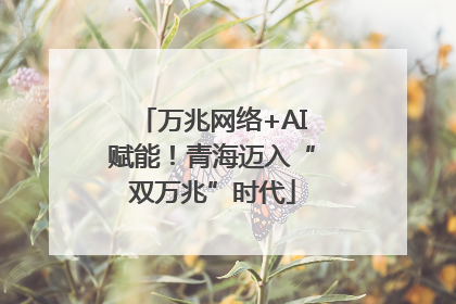 万兆网络+AI赋能！青海迈入“双万兆”时代
