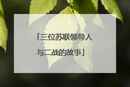 三位苏联领导人与二战的故事