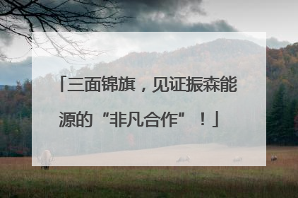 三面锦旗，见证振森能源的“非凡合作”！