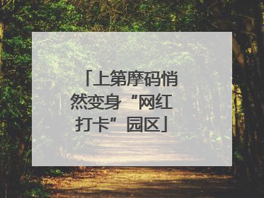 上第摩码悄然变身“网红打卡”园区