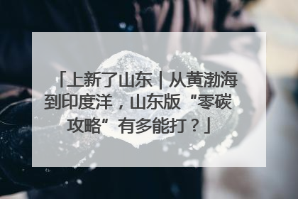 上新了山东｜从黄渤海到印度洋，山东版“零碳攻略”有多能打？