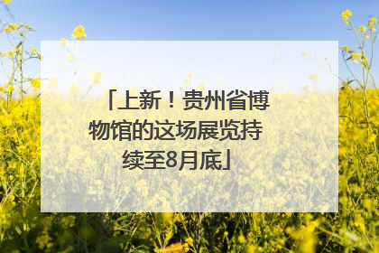 上新！贵州省博物馆的这场展览持续至8月底