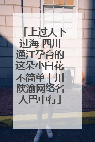 上过天下过海 四川通江孕育的这朵小白花不简单｜川陕渝网络名人巴中行