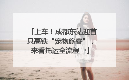 上车！成都东站迎首只高铁“宠物旅客”，来看托运全流程→