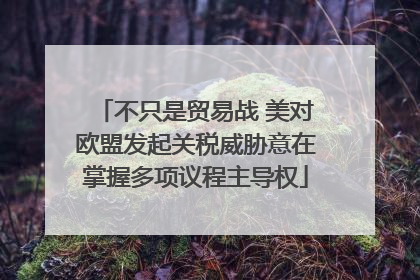 不只是贸易战 美对欧盟发起关税威胁意在掌握多项议程主导权