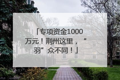 专项资金1000万元！荆州这里，“羽”众不同！