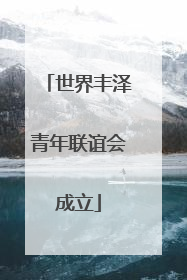 世界丰泽青年联谊会成立