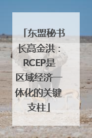 东盟秘书长高金洪：RCEP是区域经济一体化的关键支柱