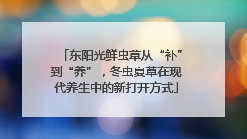 东阳光鲜虫草从“补”到“养”，冬虫夏草在现代养生中的新打开方式