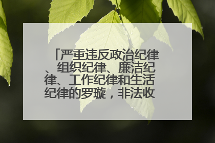 严重违反政治纪律、组织纪律、廉洁纪律、工作纪律和生活纪律的罗璇，非法收受他人巨额财物