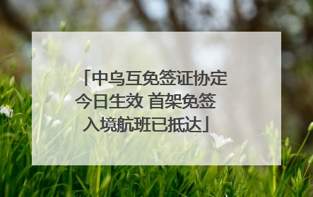中乌互免签证协定今日生效 首架免签入境航班已抵达